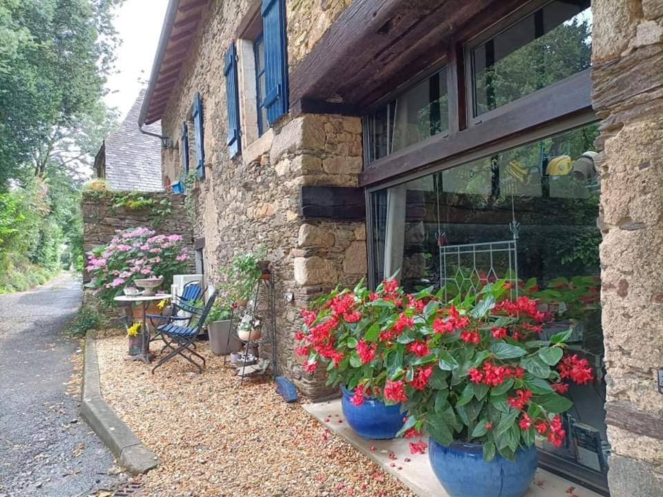 La Maison Bleue Juillac  Εξωτερικό φωτογραφία