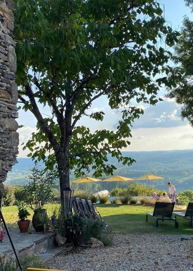 La Maison Bleue Juillac  Εξωτερικό φωτογραφία